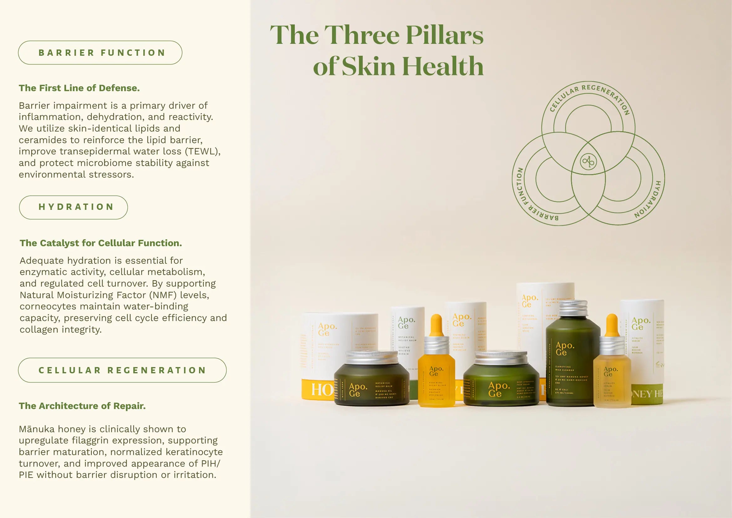 Skincare products with text on the three pillars of skin health on a beige background