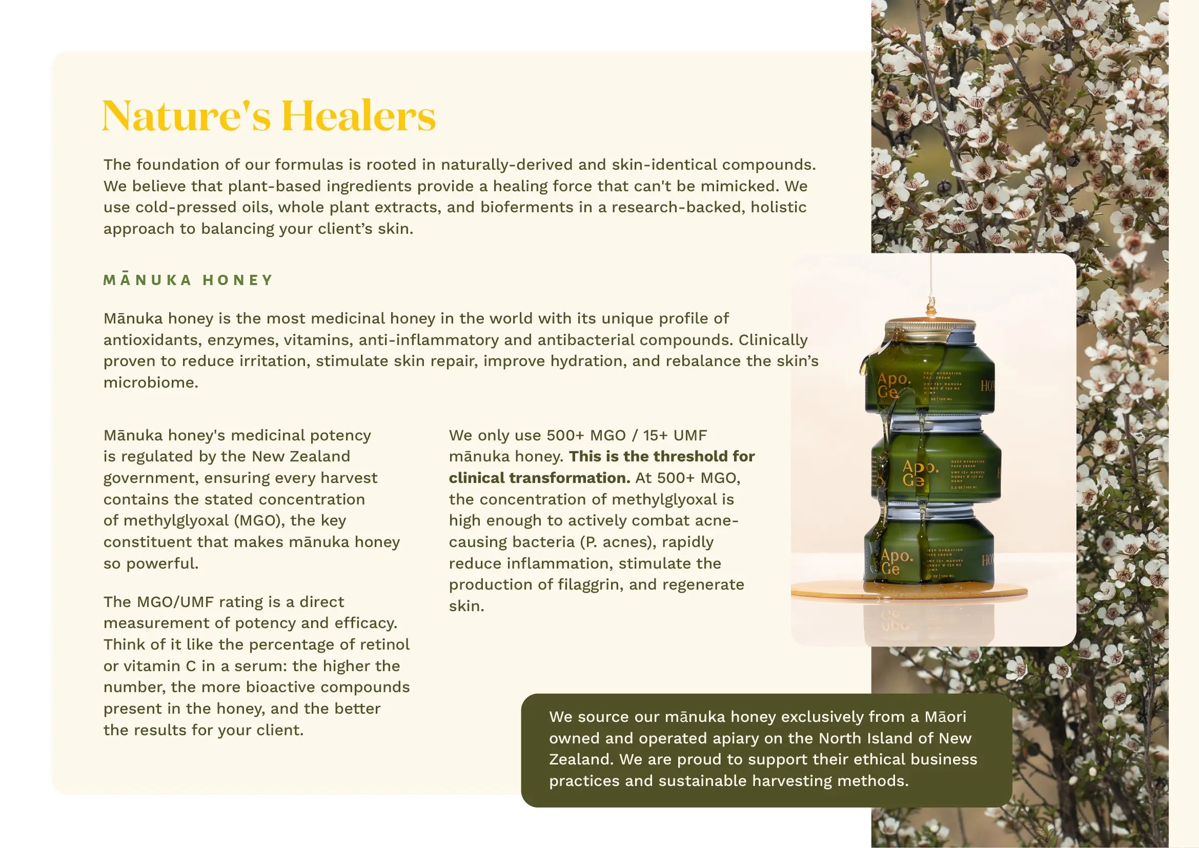 Product packaging with text about 'Nature's Healers' and 'Manuka honey'.