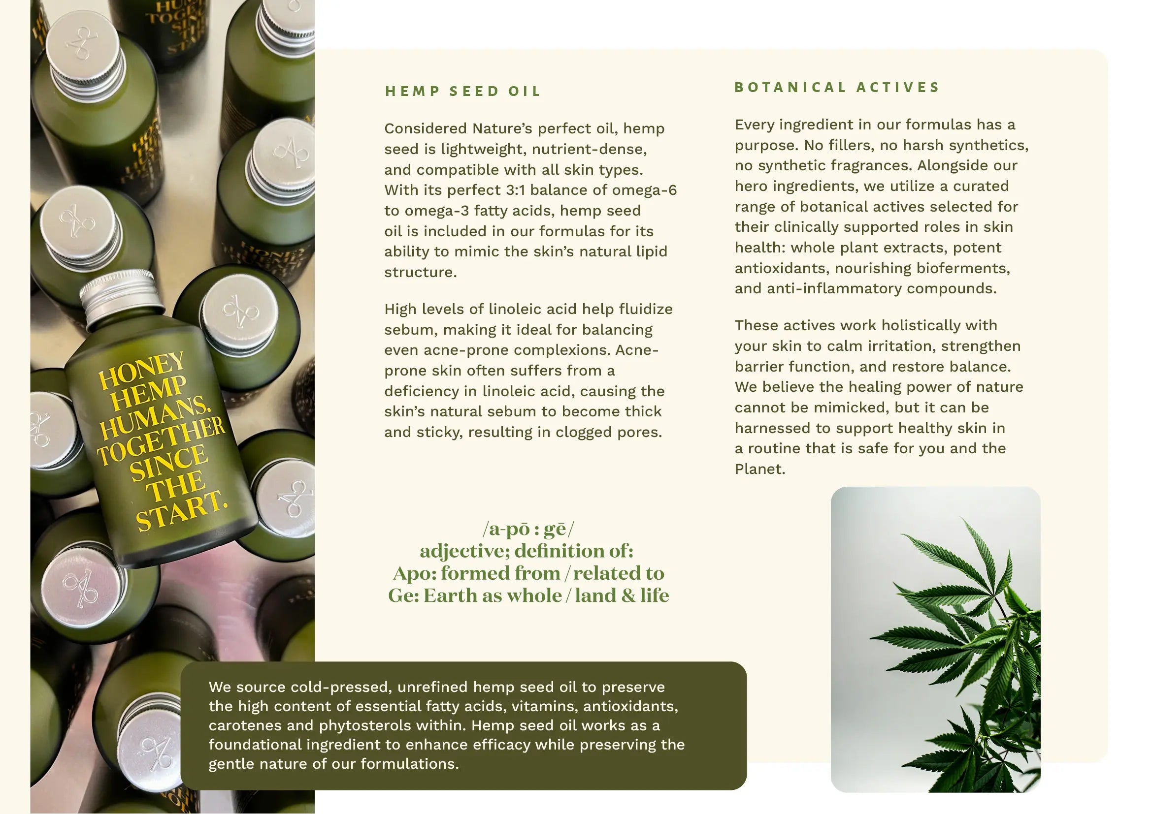 Hemp seed oil bottles with product description text on a white background