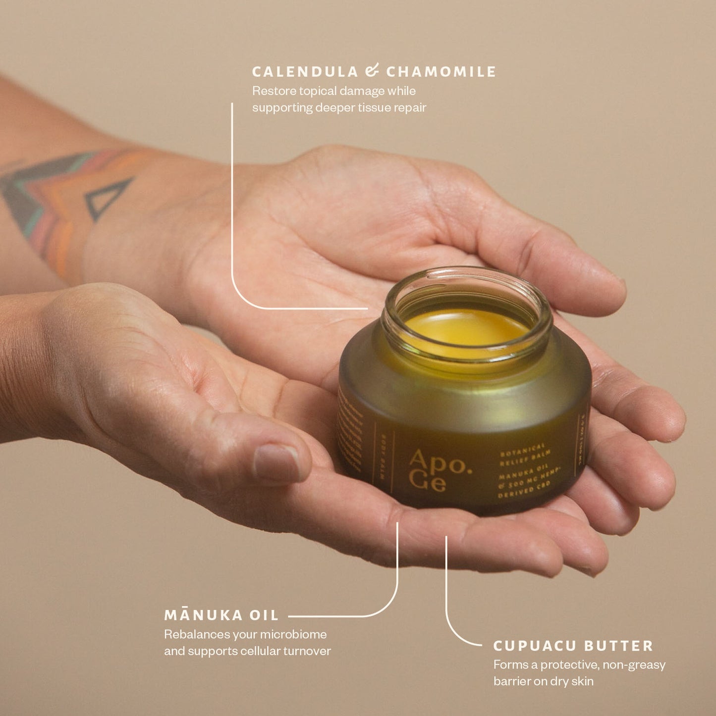Hand holding a jar of Apo.Ge Manuka Honey Skincare Botanical Relief Balm with text infographic describing benefits 